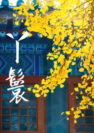 丫鬟还是丫环